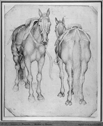 Two horses, from the The Vallardi Album
